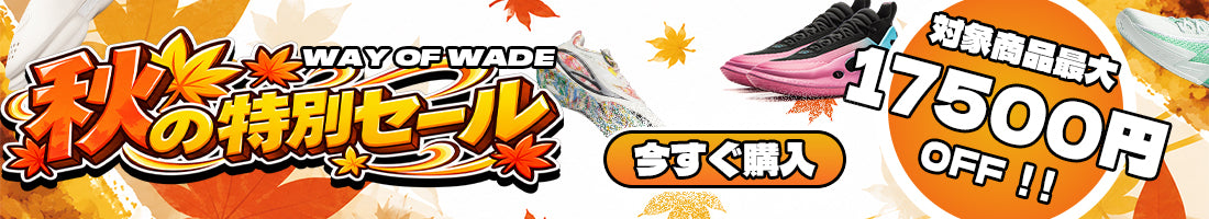 Shadow 6 – Way of Wade JP