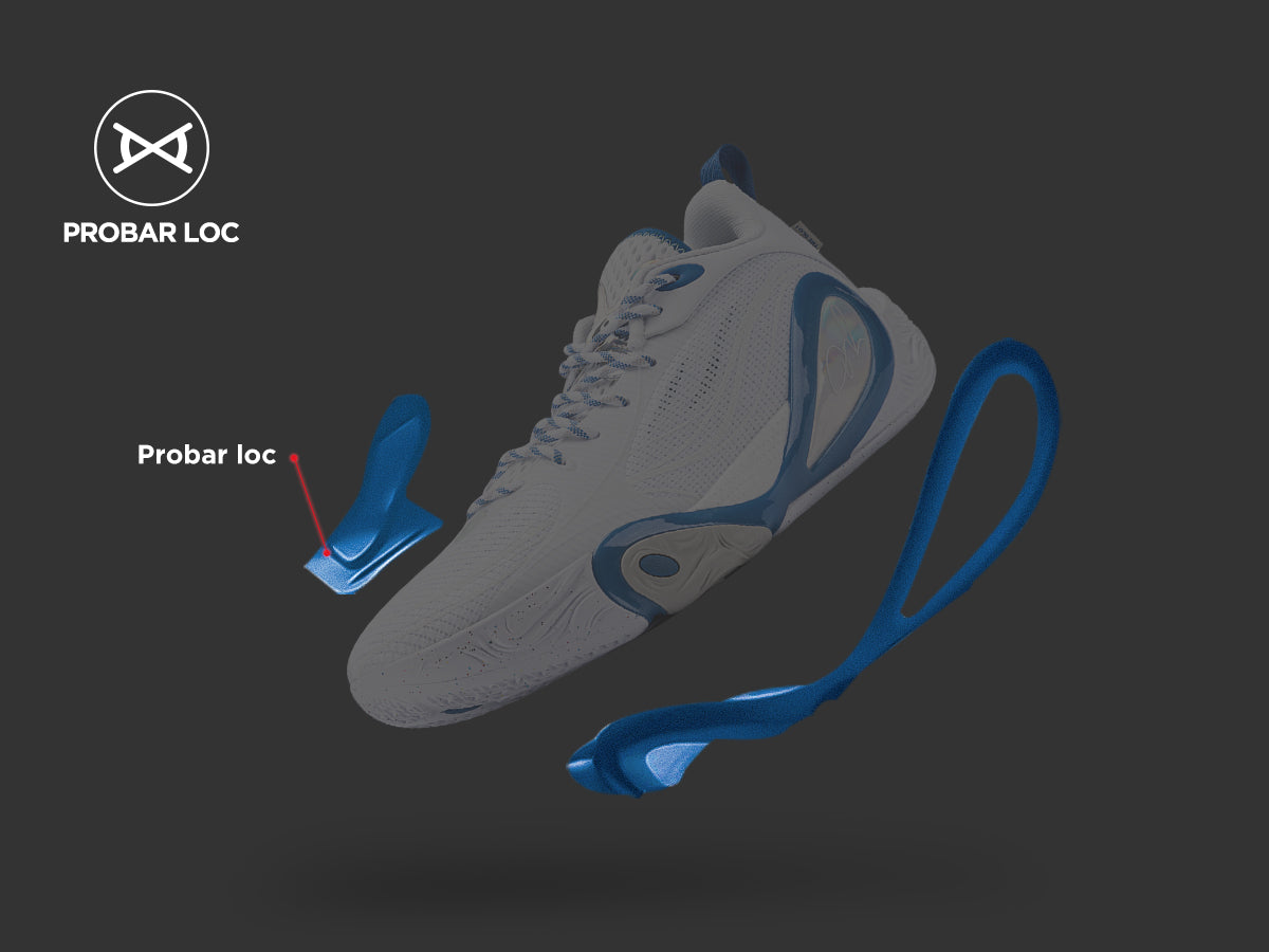 Dlo 1 「無畏」｜｜ウェイドバッシュ｜LININGバッシュ｜NBAバスケット