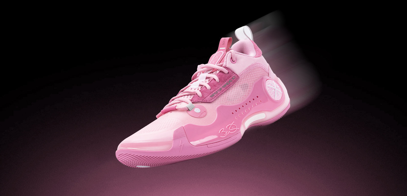 Way of Wade 10 Low「慈愛」US10.5 Way of Wade 10 Low】Cherry Blossom - Limited Edition